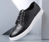 Ferrucio Sneaker Brogues